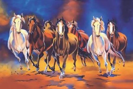 Toronto vastu architect astrologer horses