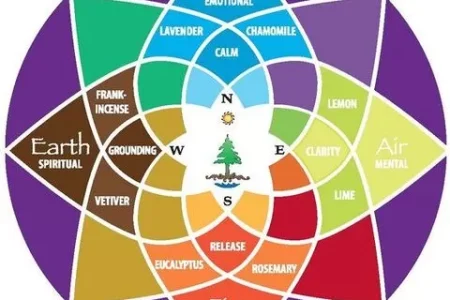 toronto vastu consultant 3